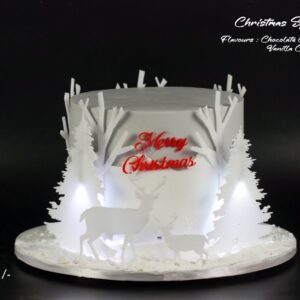 Christmas Special Cake