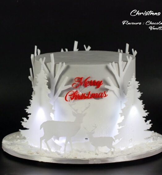 Christmas Special Cake