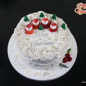 Christmas Special Cake