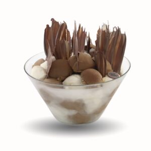 Mocha Ice Cream Bowl