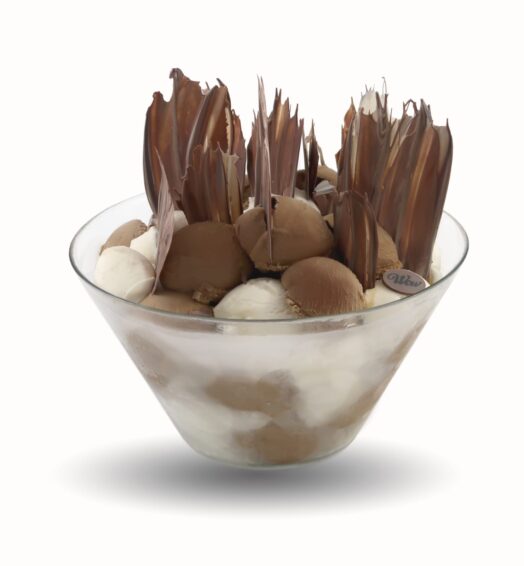 Mocha Ice Cream Bowl